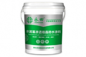 YT-811水泥基渗透结晶红豆视频黄网站（CCCW）